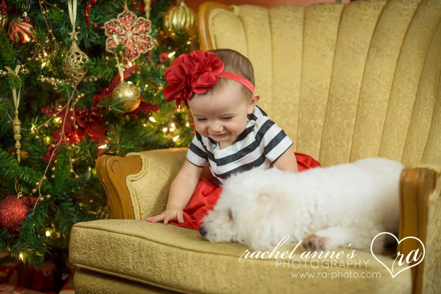 053-SRL-CHRISTMAS-FAMILY-PORTRAITS.jpg