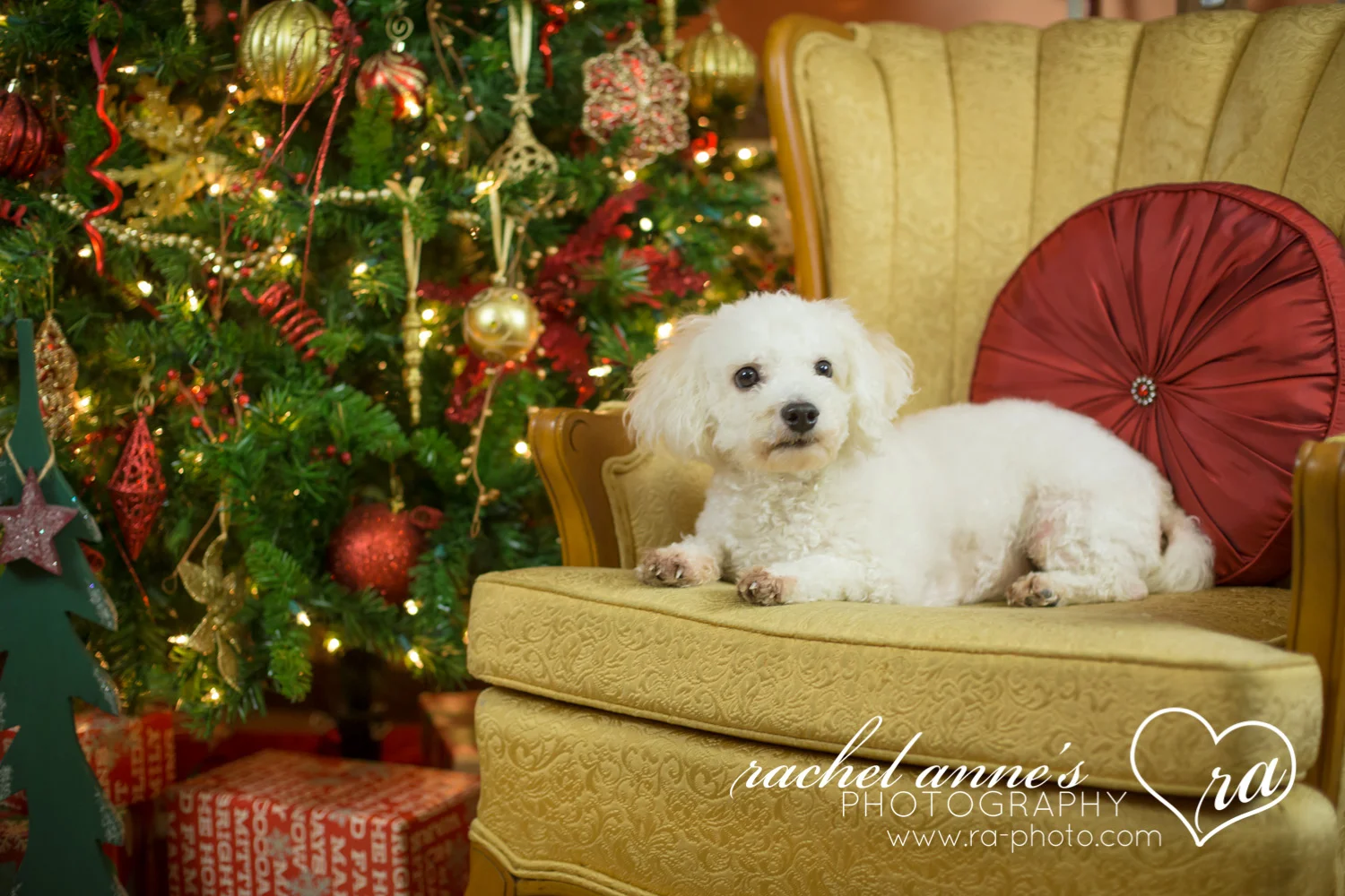 054-SRL-CHRISTMAS-FAMILY-PORTRAITS.jpg