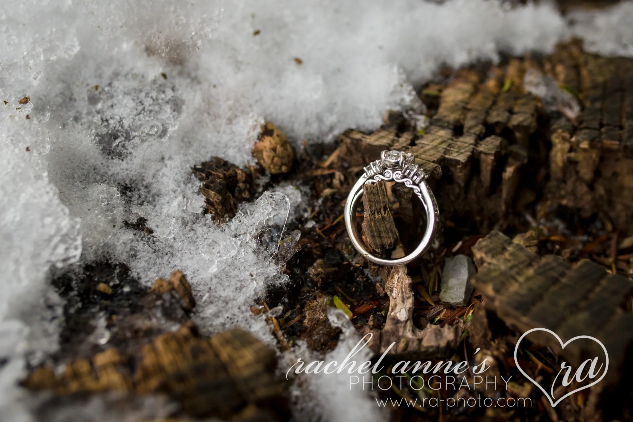 040-BKK-TREASURE-LAKE-PA-ENGAGEMENT.jpg