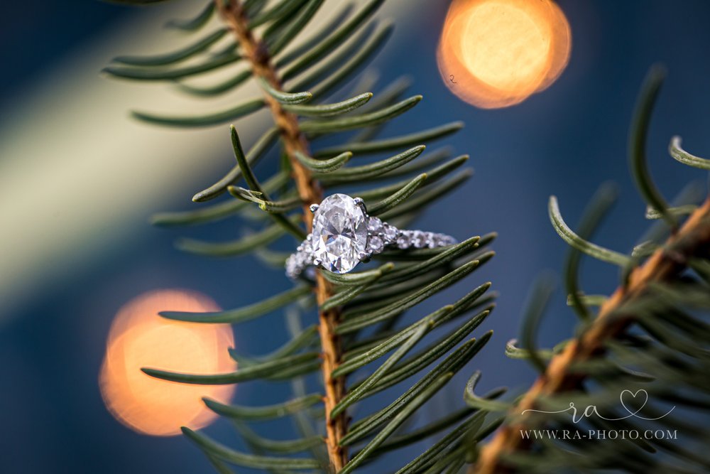 052-SLK-ELLICOTTVILLE-NY-WINTER-ENGAGEMENT-PHOTOS.jpg