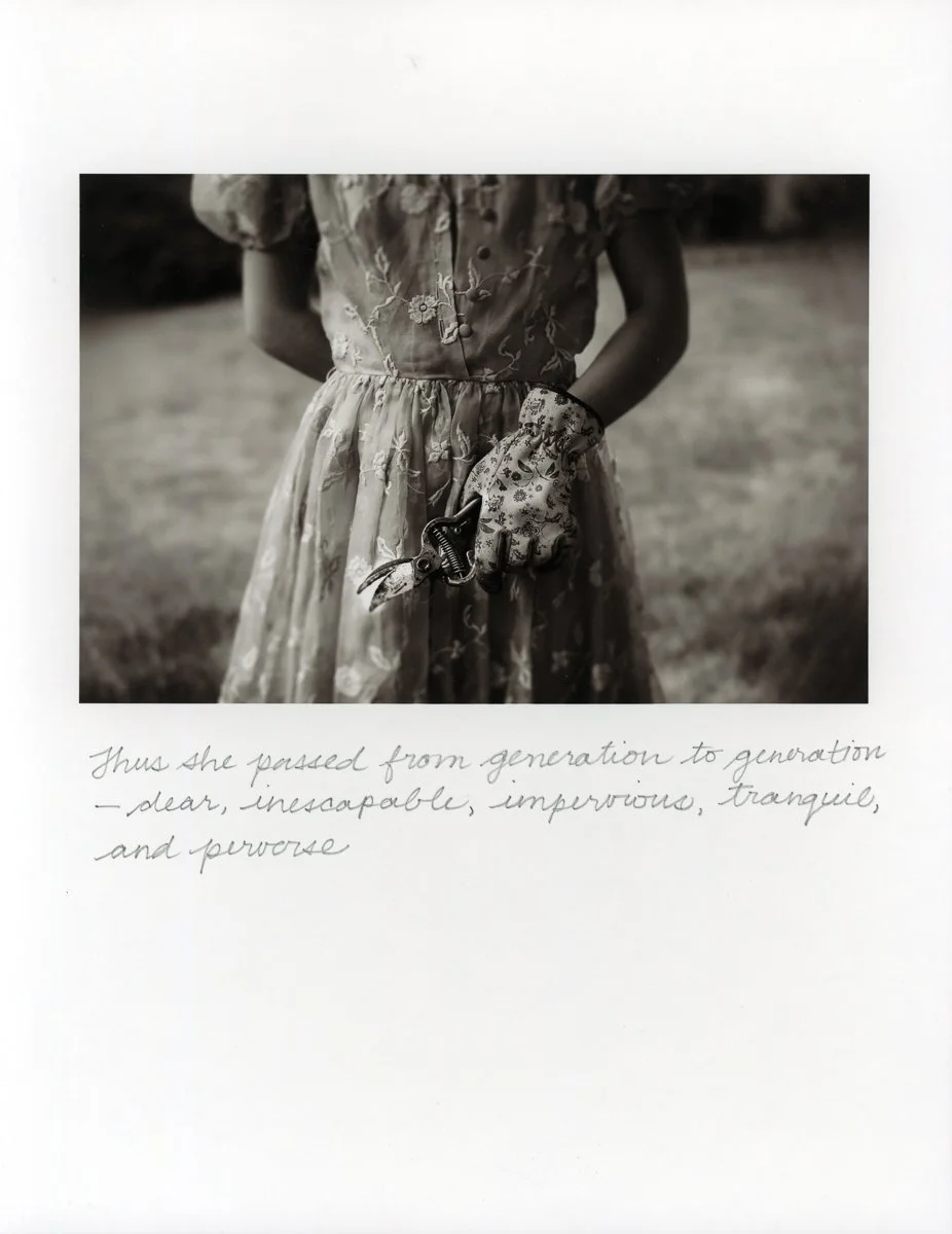 Coquettish Decay-7.jpg