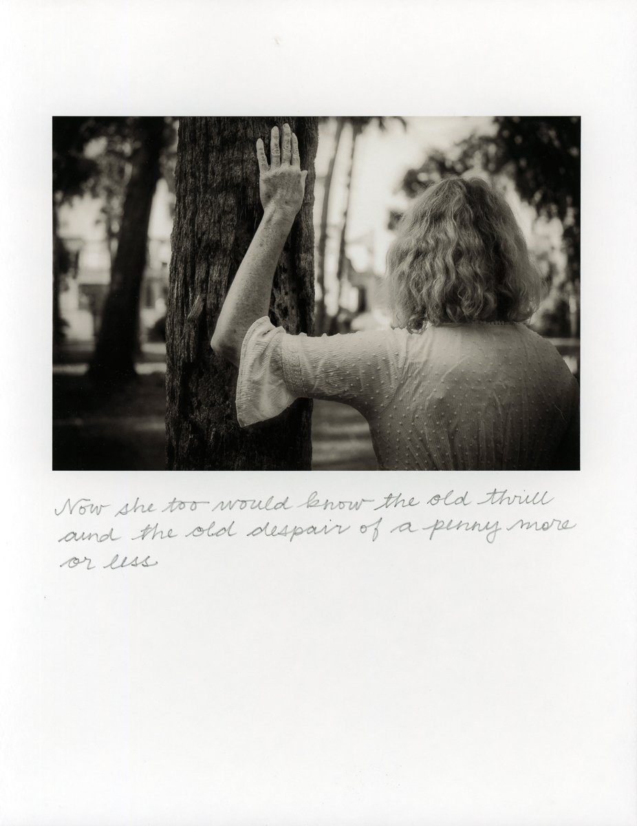 Coquettish Decay-8.jpg