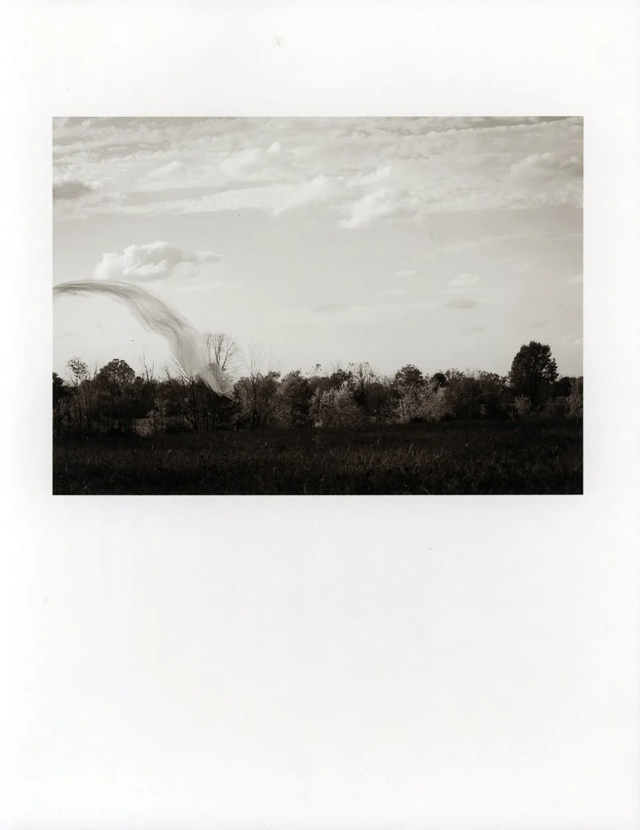 Coquettish Decay-9.jpg