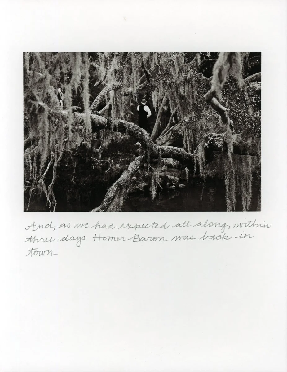 Coquettish Decay-11.jpg