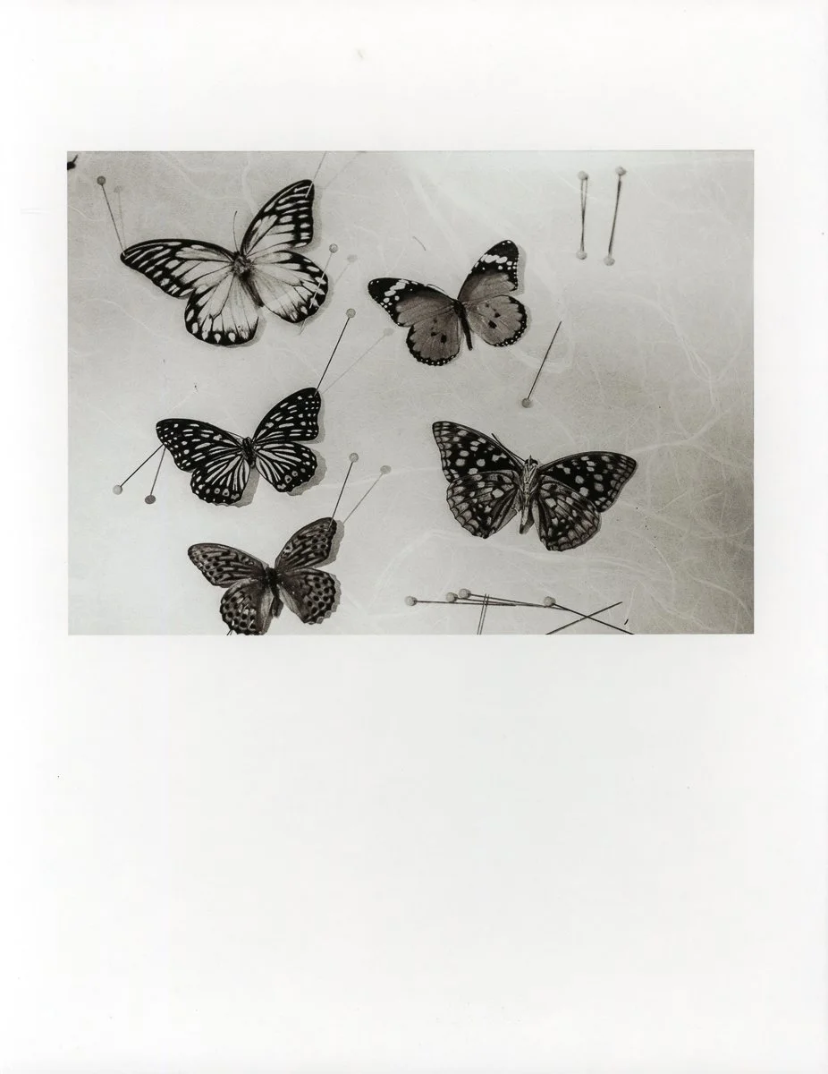 Coquettish Decay-13.jpg