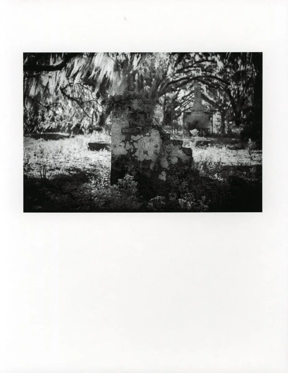 Coquettish Decay-23.jpg