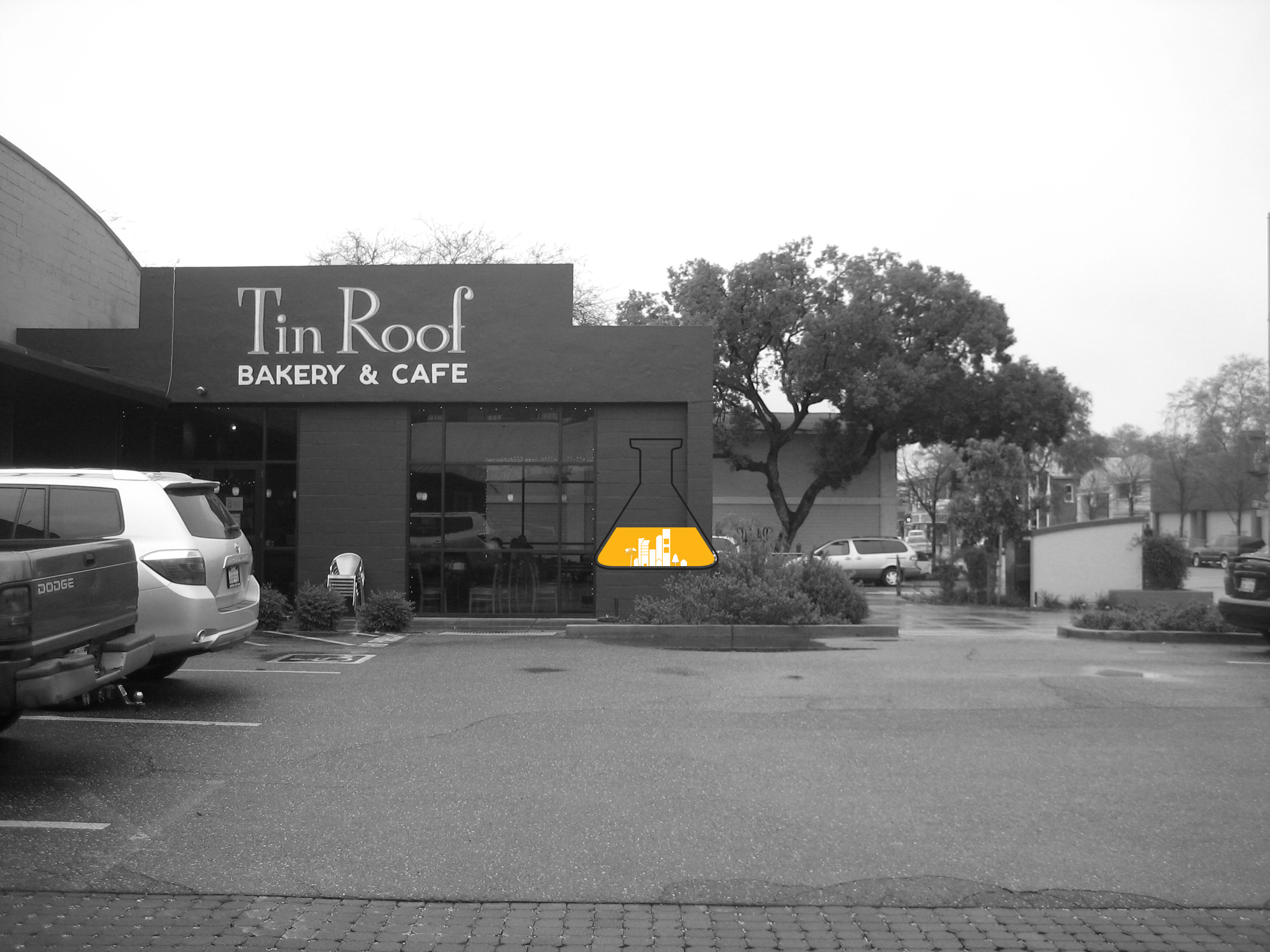 TINROOF LOGOSMALL.jpg