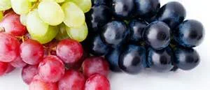 Blending Party In Woodinville