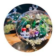 TERRARIUM MAKING + WINE TASTING