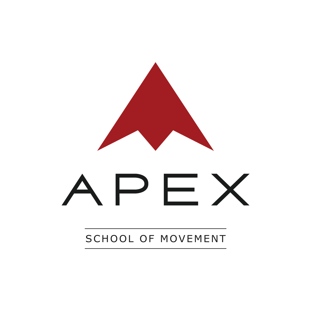 APEX-SoM-Logo-Medium.png