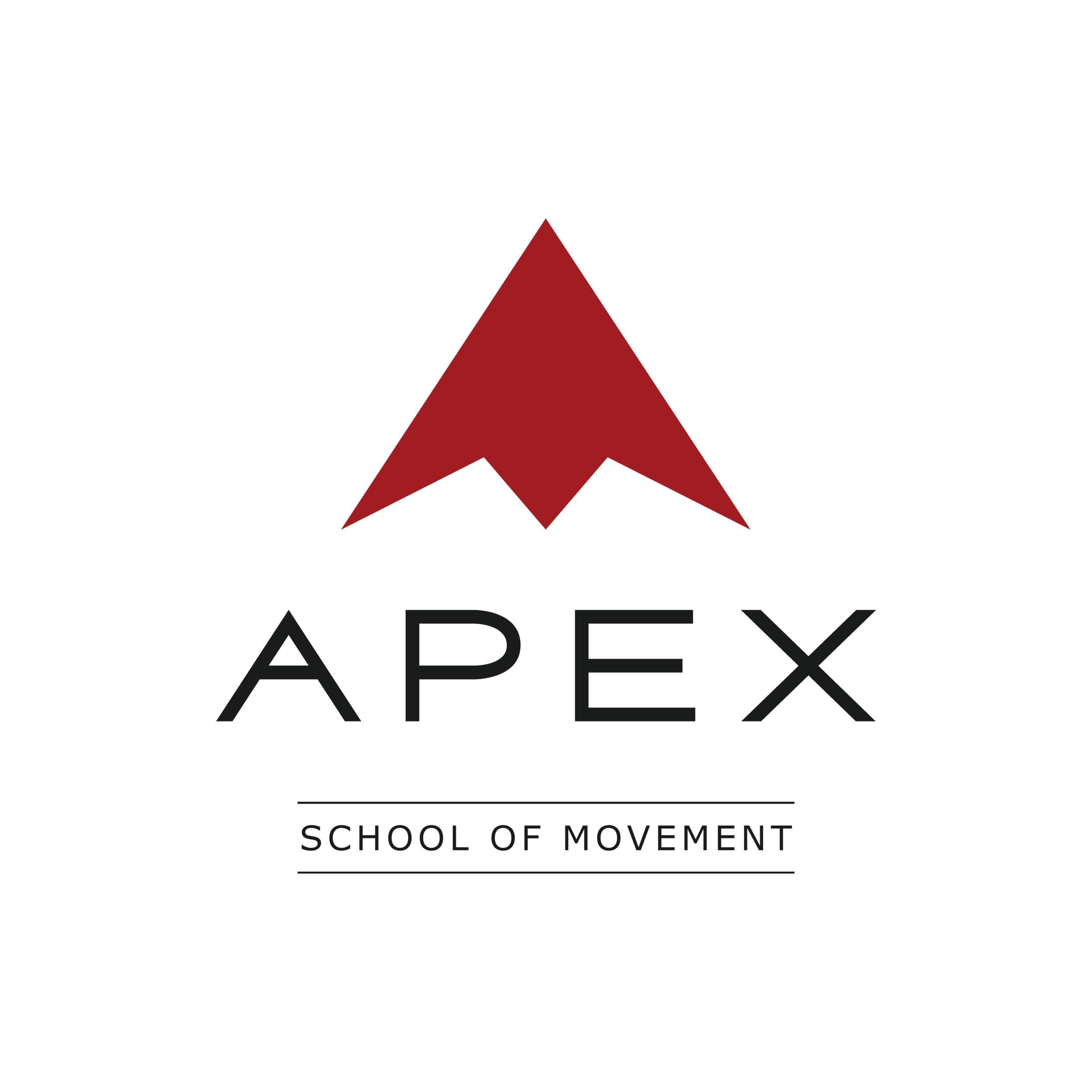 Parkour Educational Facility / Movement Lab / Professional team