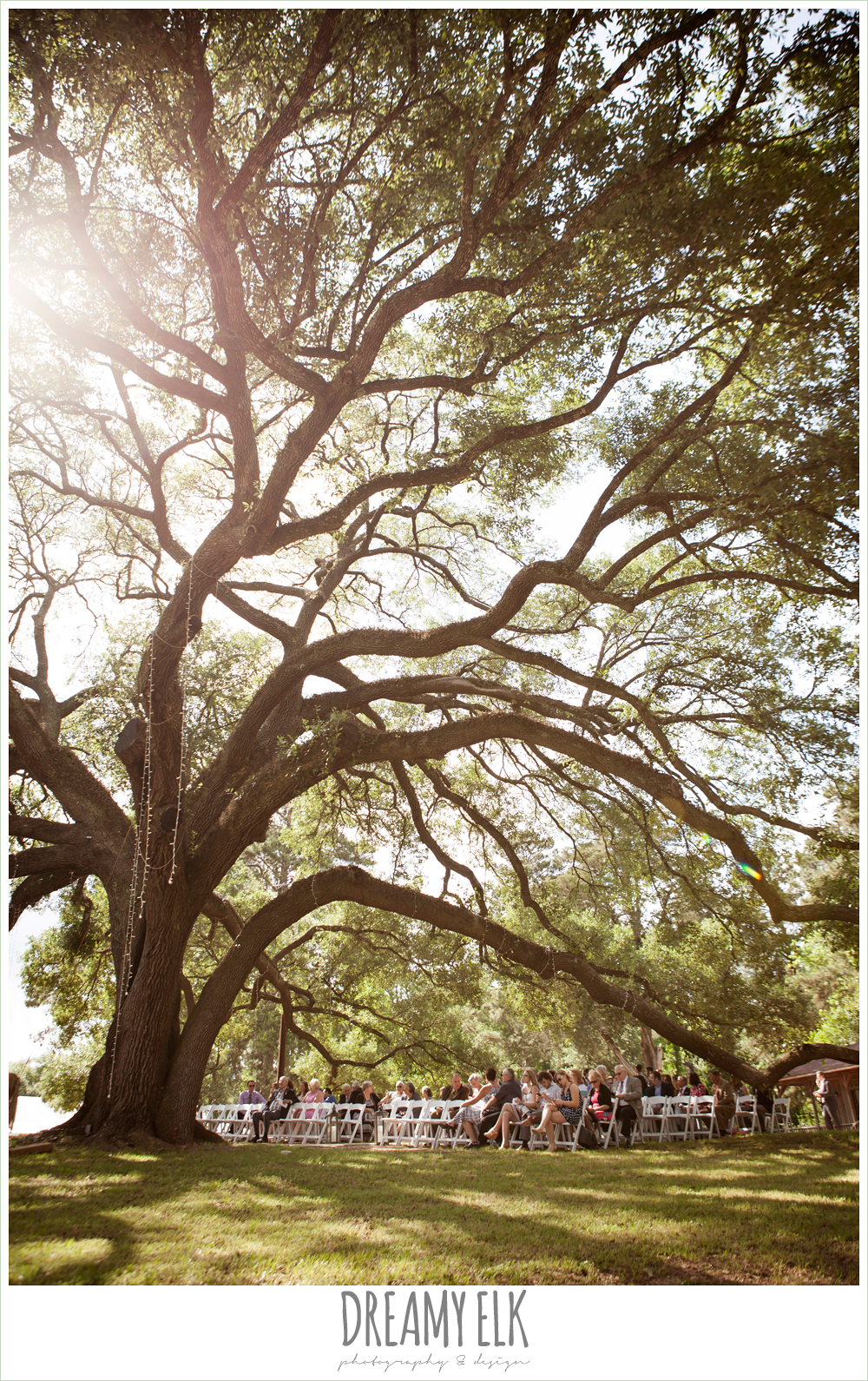 wedding under an oak tree, pine lake ranch, photo {dreamy elk photography and design}