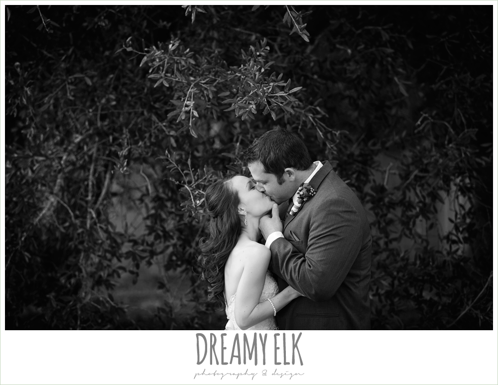 bride and groom kissing, strapless lace wedding dress with belt, gray suit and navy tie, pine lake ranch, rustic wedding photo {dreamy elk photography and design}