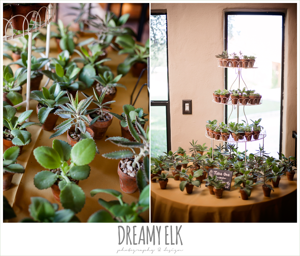 succulent thank you wedding favor, indoor wedding reception decor, table setting, maroon and gold fall wedding photo, la hacienda, dripping springs, texas {dreamy elk photography and design}