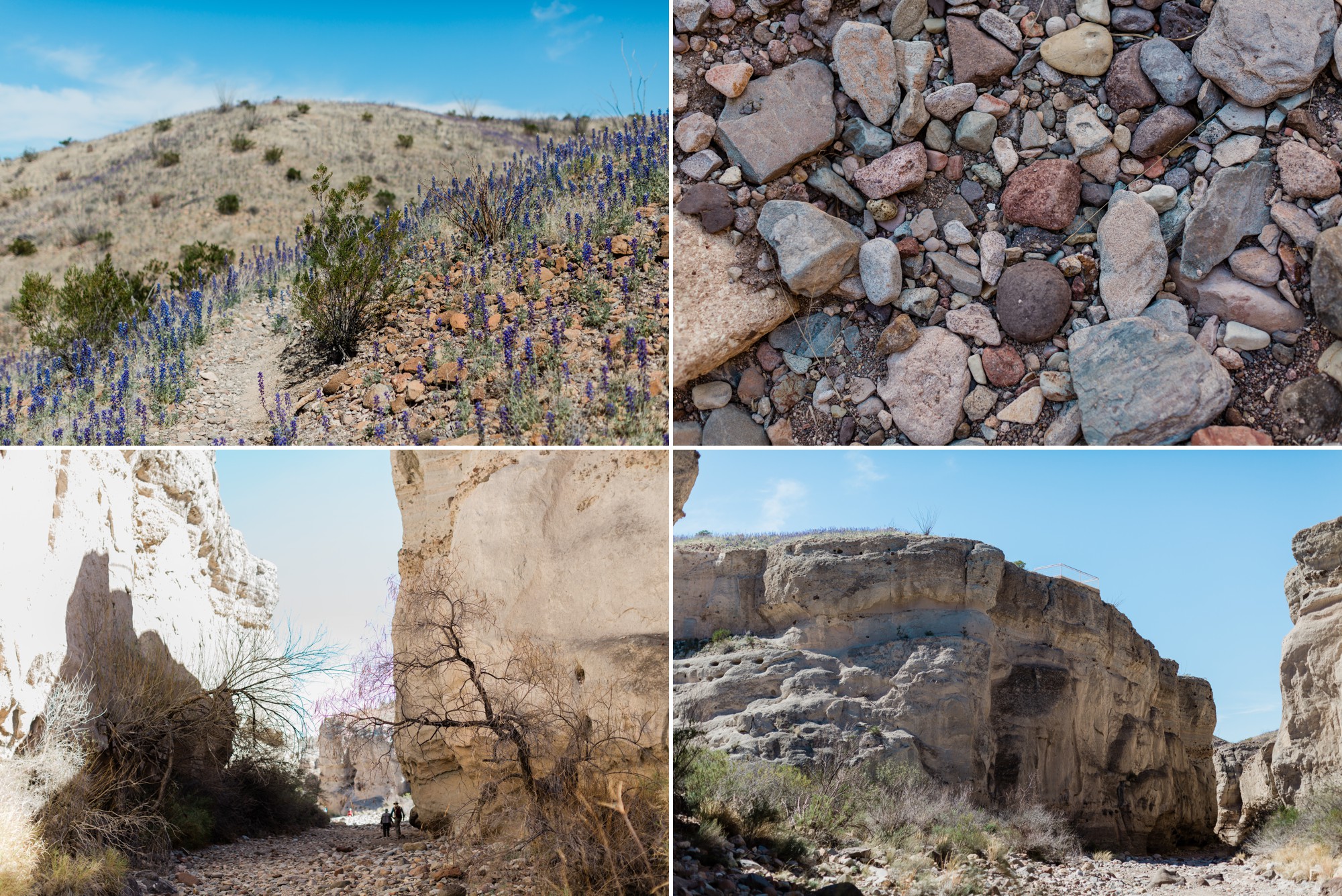 07bigbendhiking 3.jpg