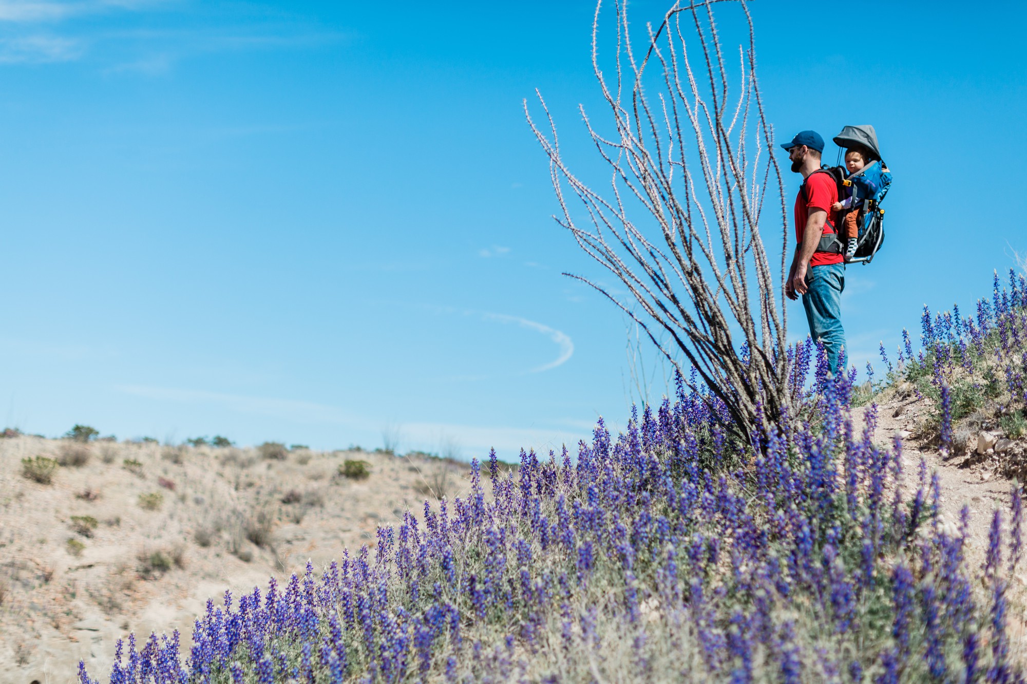 14bigbendhiking 4.jpg