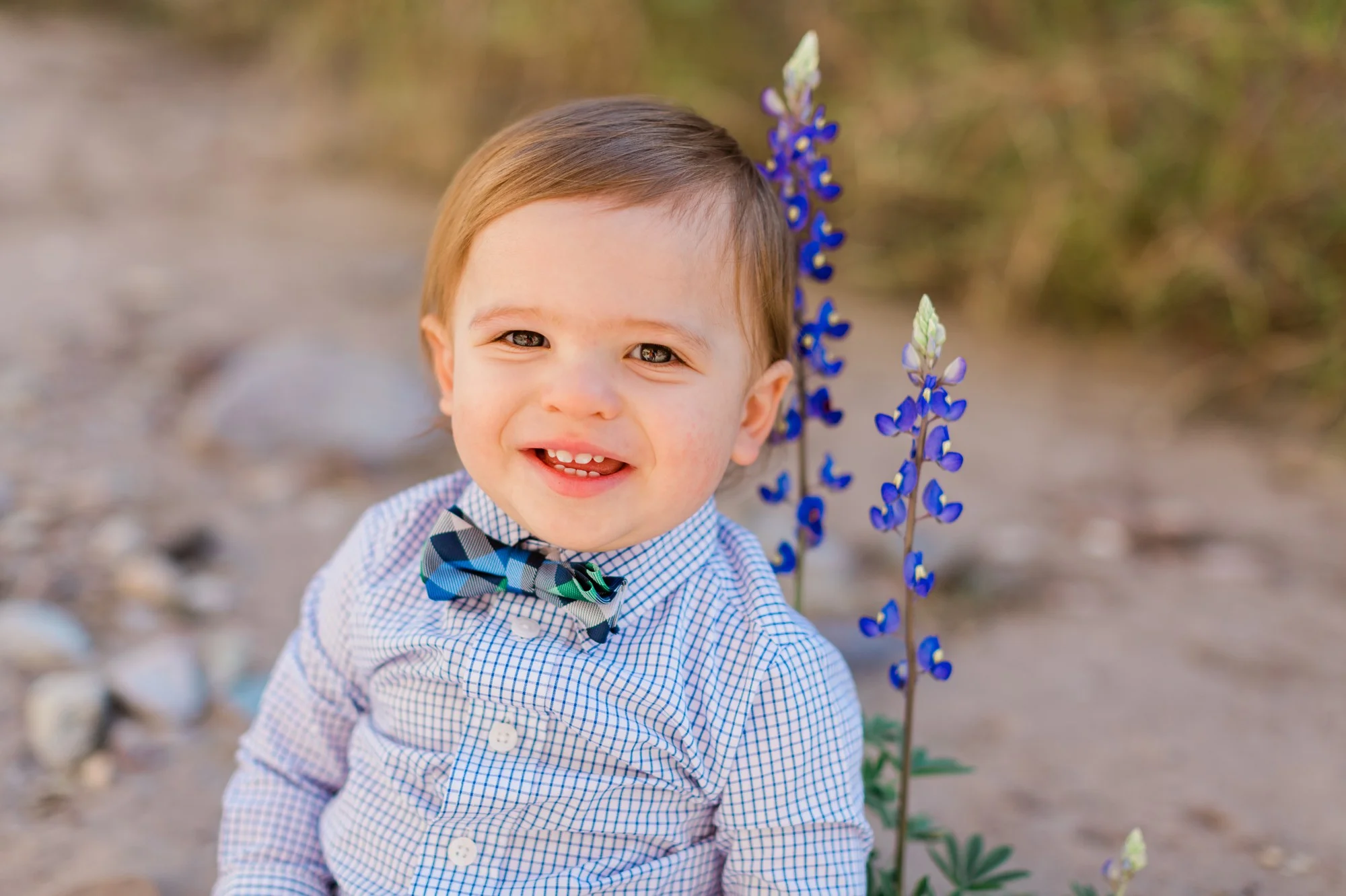 how to take good bluebonnet photos