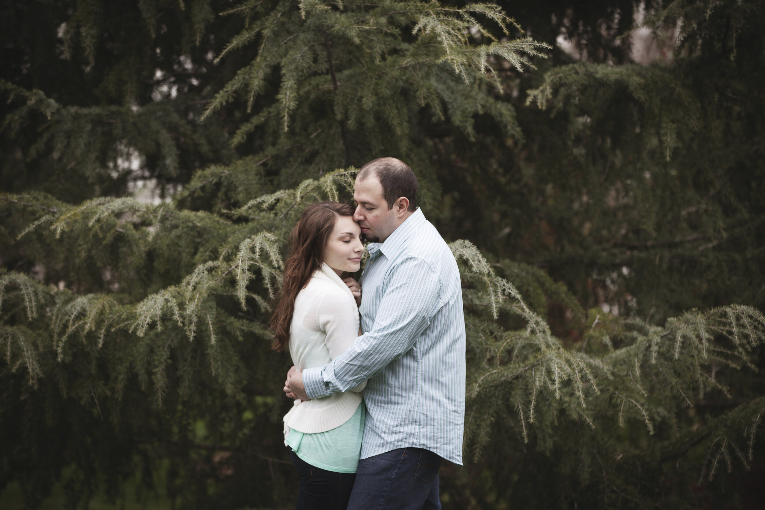 jessica&amp;steven {engagements} dallas arboretum and botanical garden