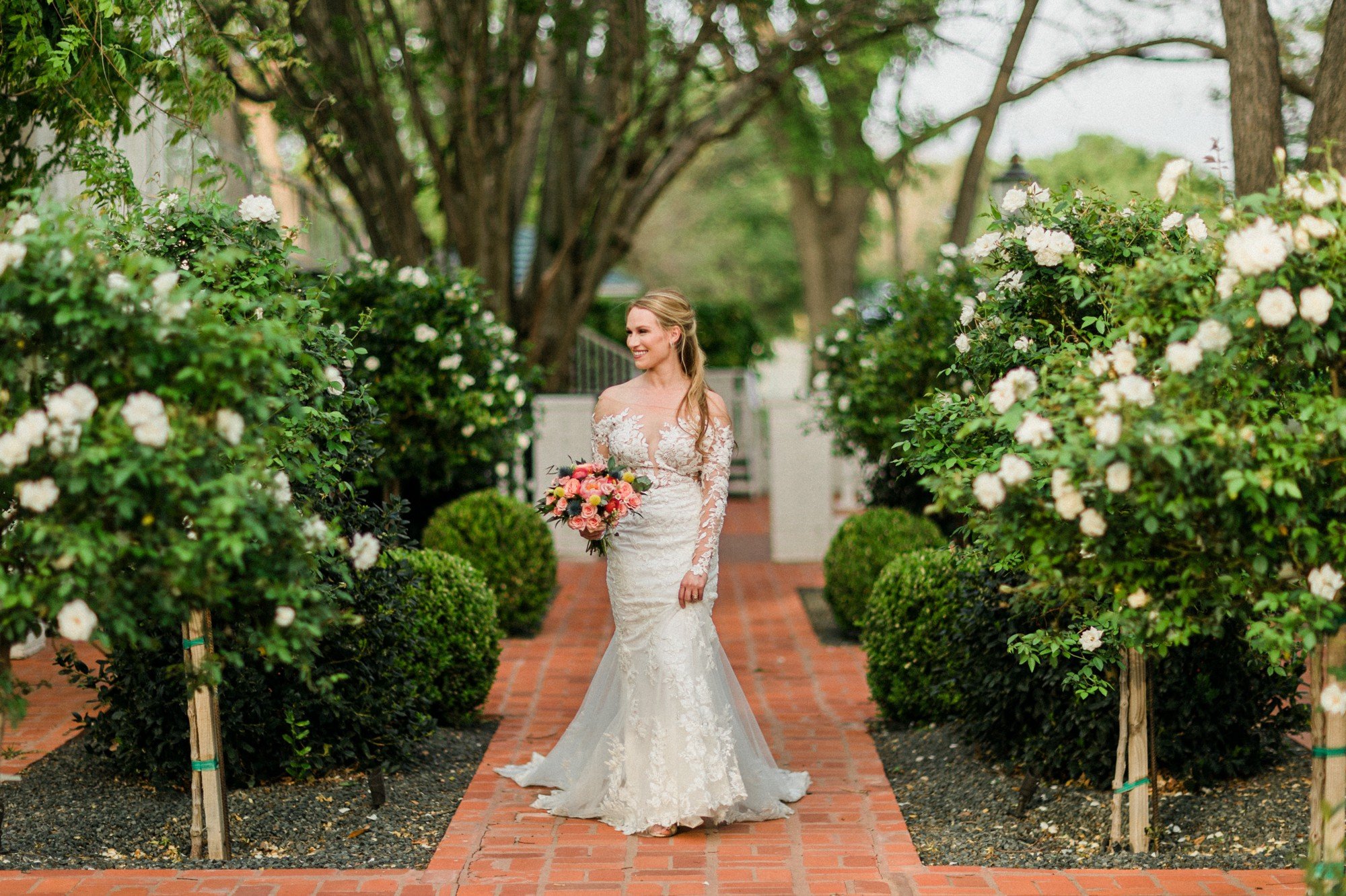 rose garden bridal photo