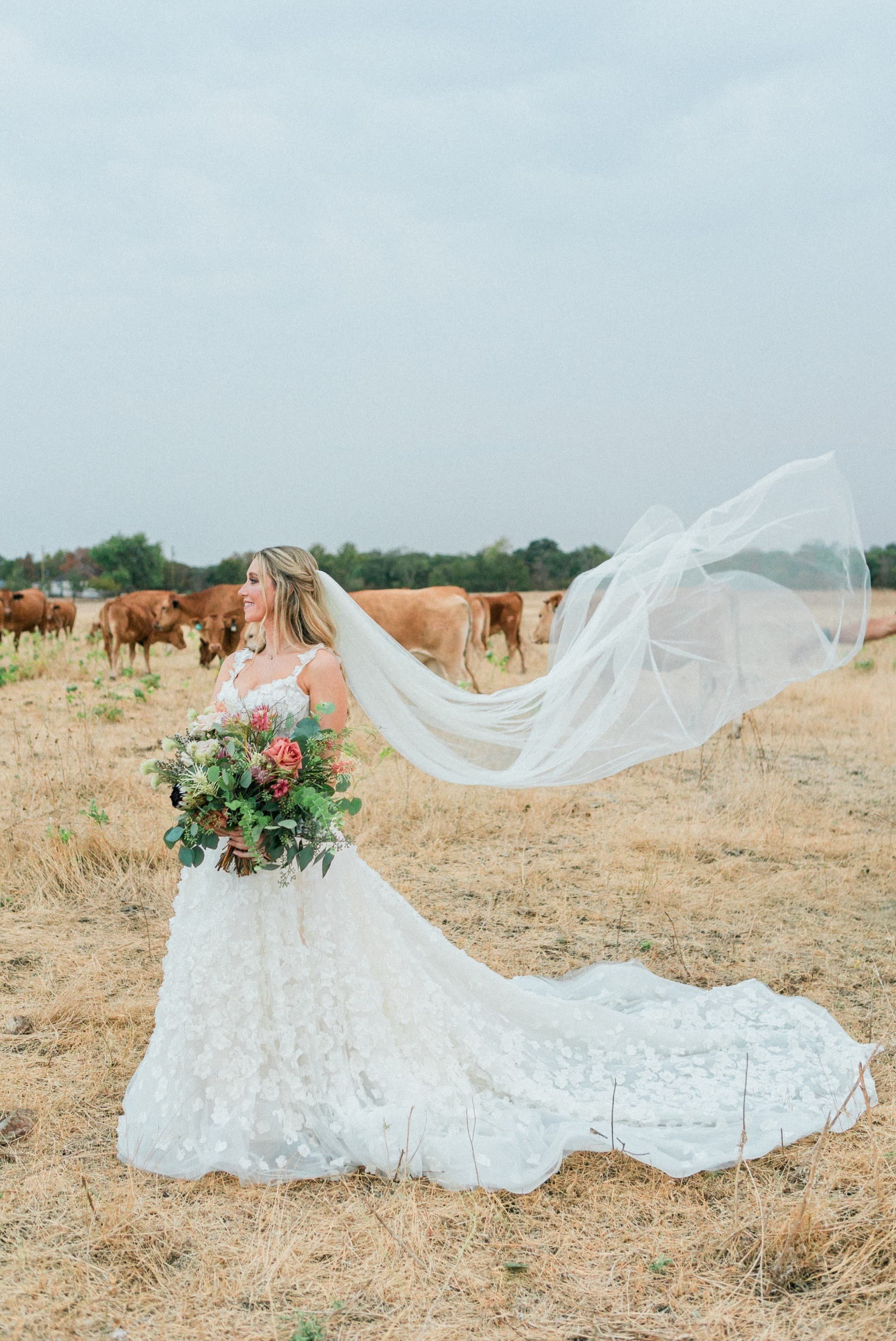 sydney-farm-bridal-photos 1.jpg