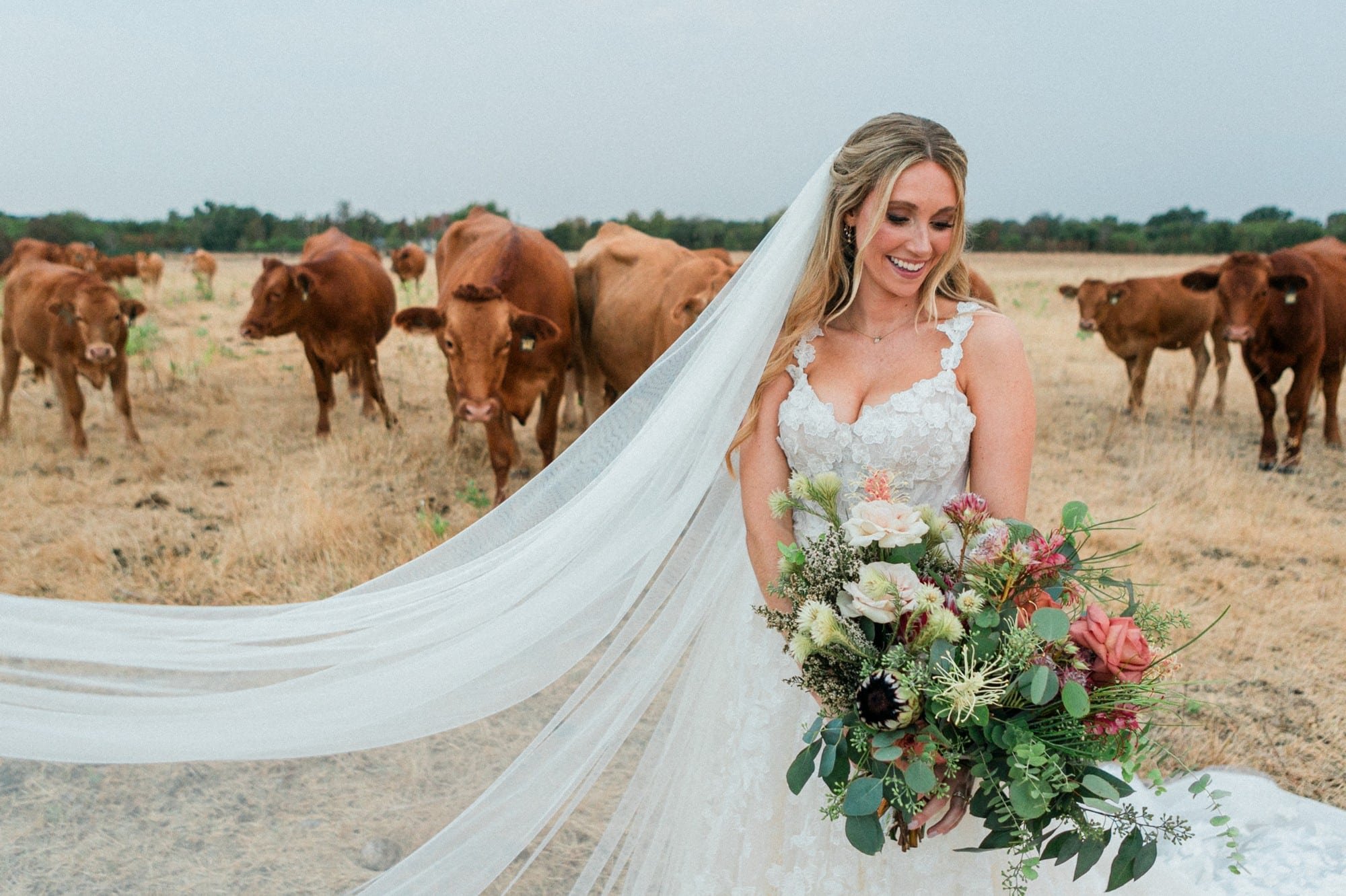 sydney-farm-bridal-photos 12.jpg