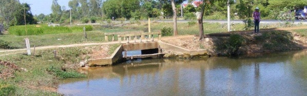 We need to build a bridge like the one above