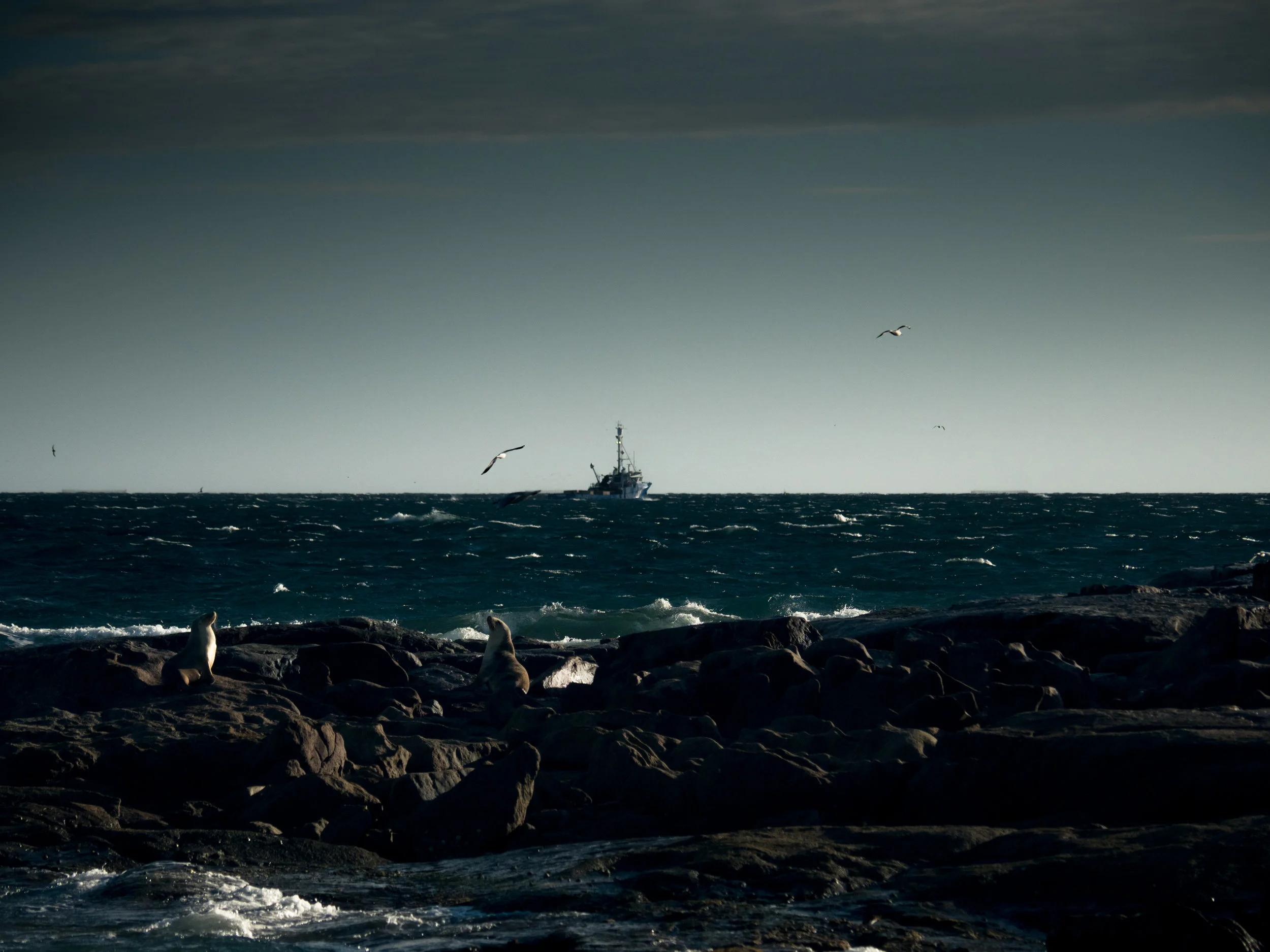 Greenpeace Australia - Fight for the Bight