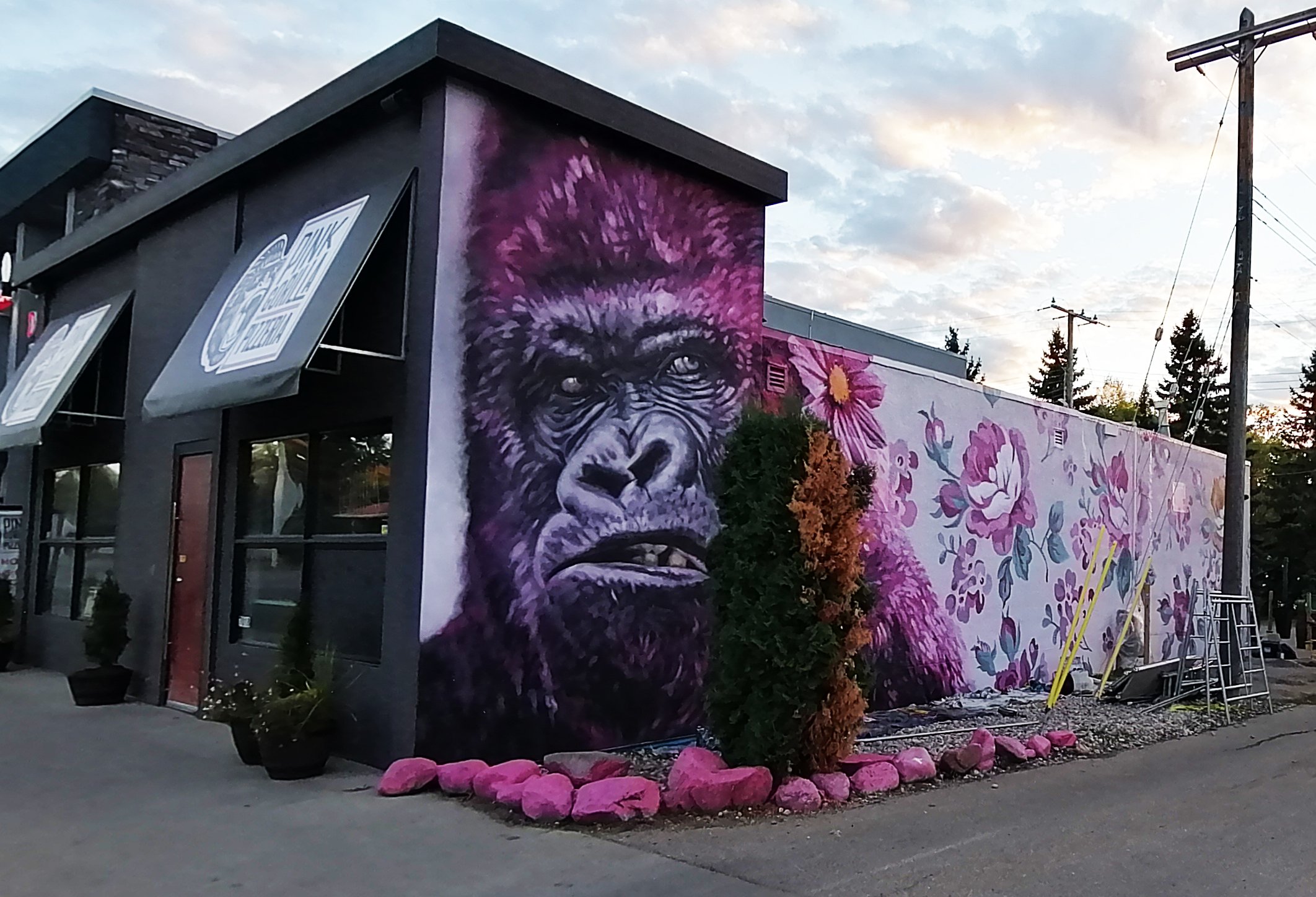 pink gorilla 1.jpg