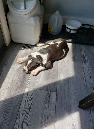 Zena 2.jpg