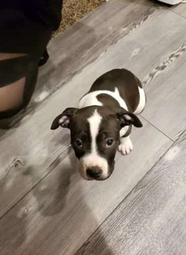 Zena.jpg