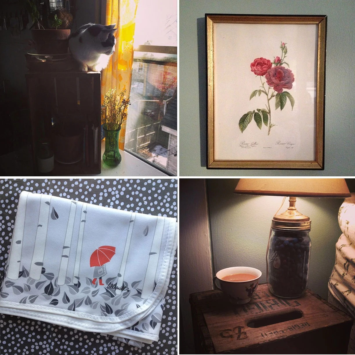 Quiet week in the studio as I get my strength back from a bad case of the stomach flu.... and feels a bit like the quiet before the storm as we brace for the next (and last??) big storm of the season. Hoping it doesn't delay more spring fabrics from arriving later this week!