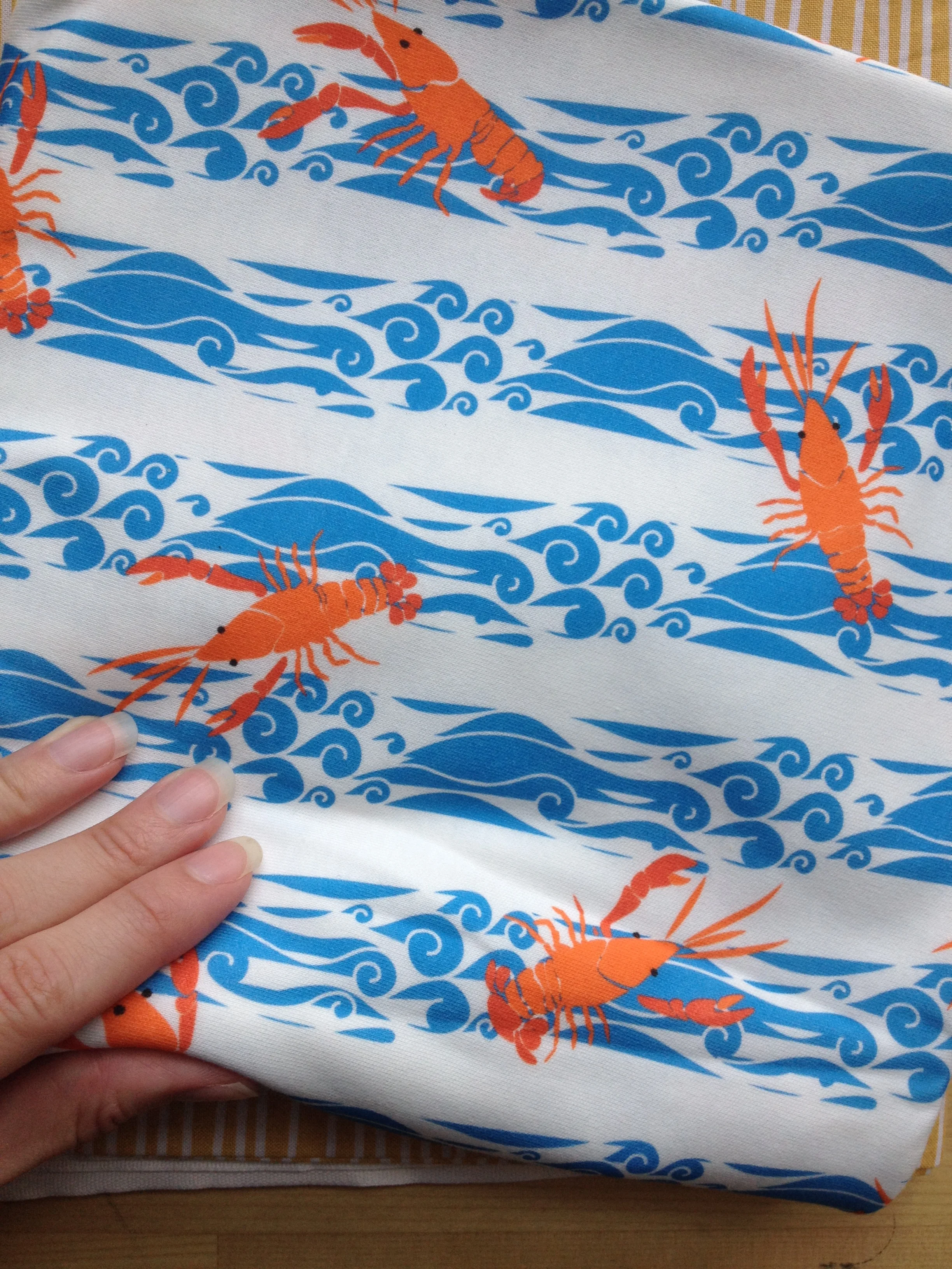 crayfishbabyblanket.jpg