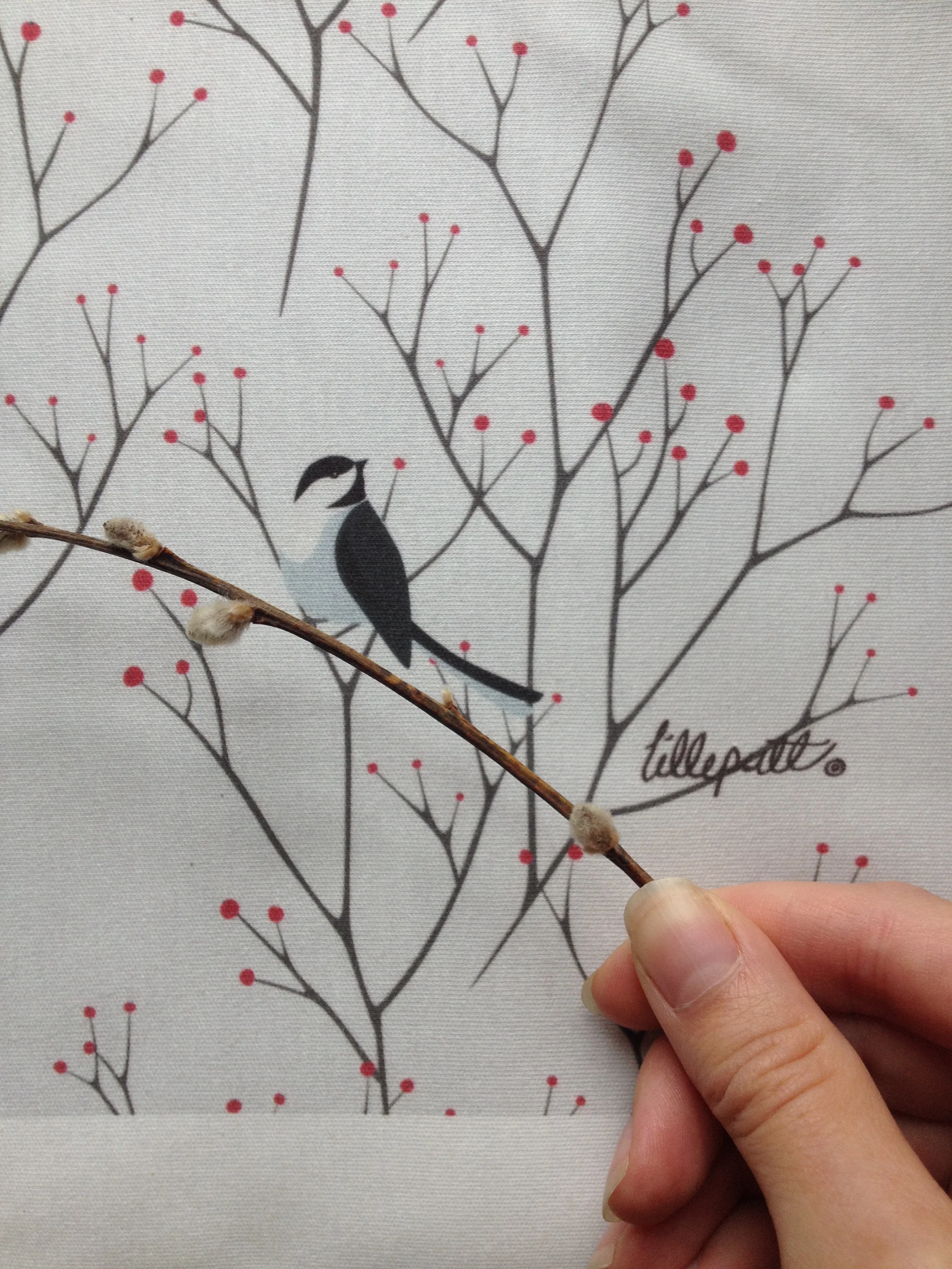 littlechickadee.jpg