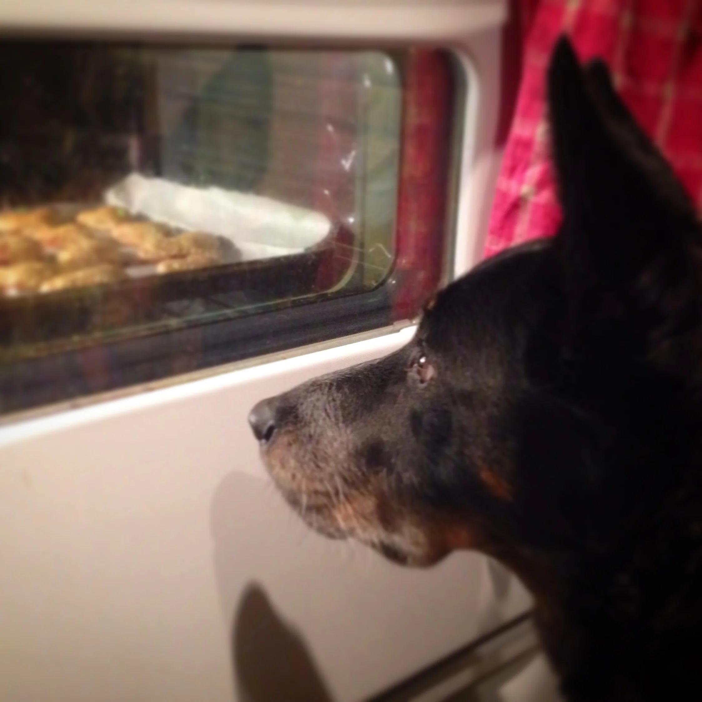 baking.jpg