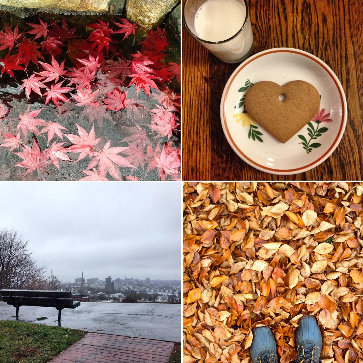 fall.jpg