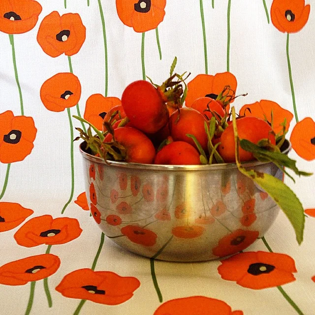 poppies.jpg