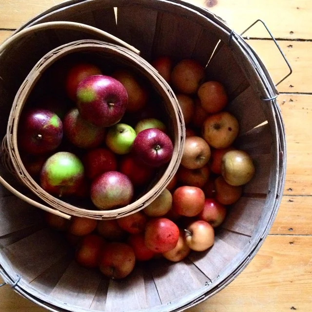 applebushel.jpg
