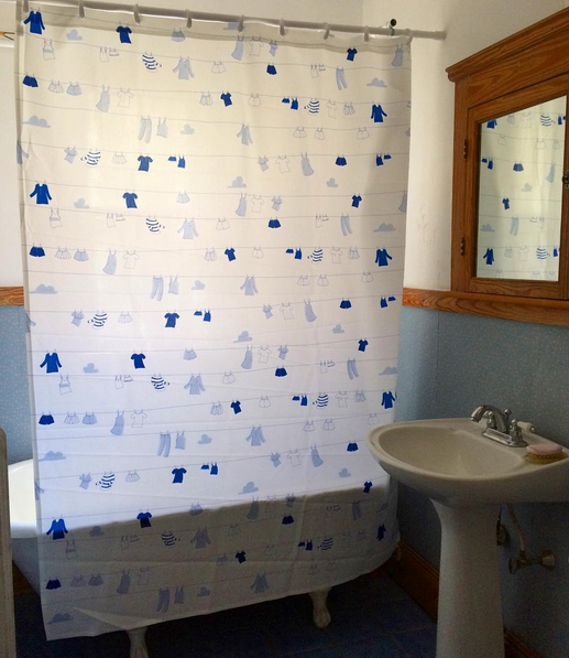 clotheslineshowercurtain.jpg