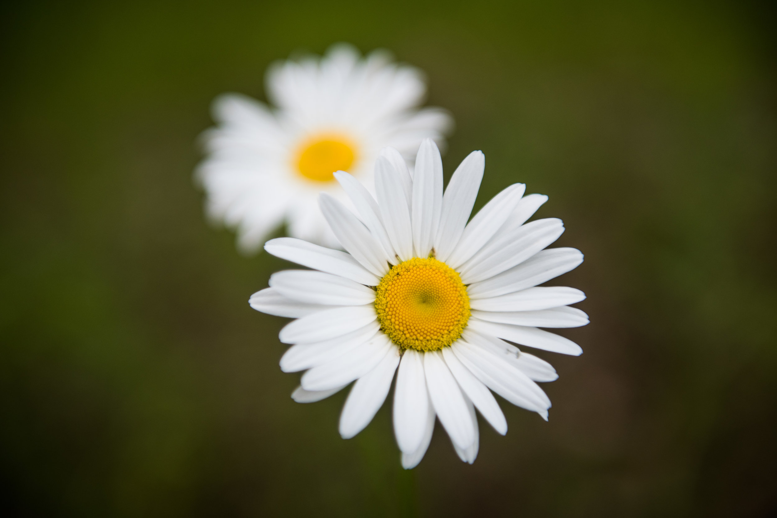 5_AliKaukas_9243.jpg