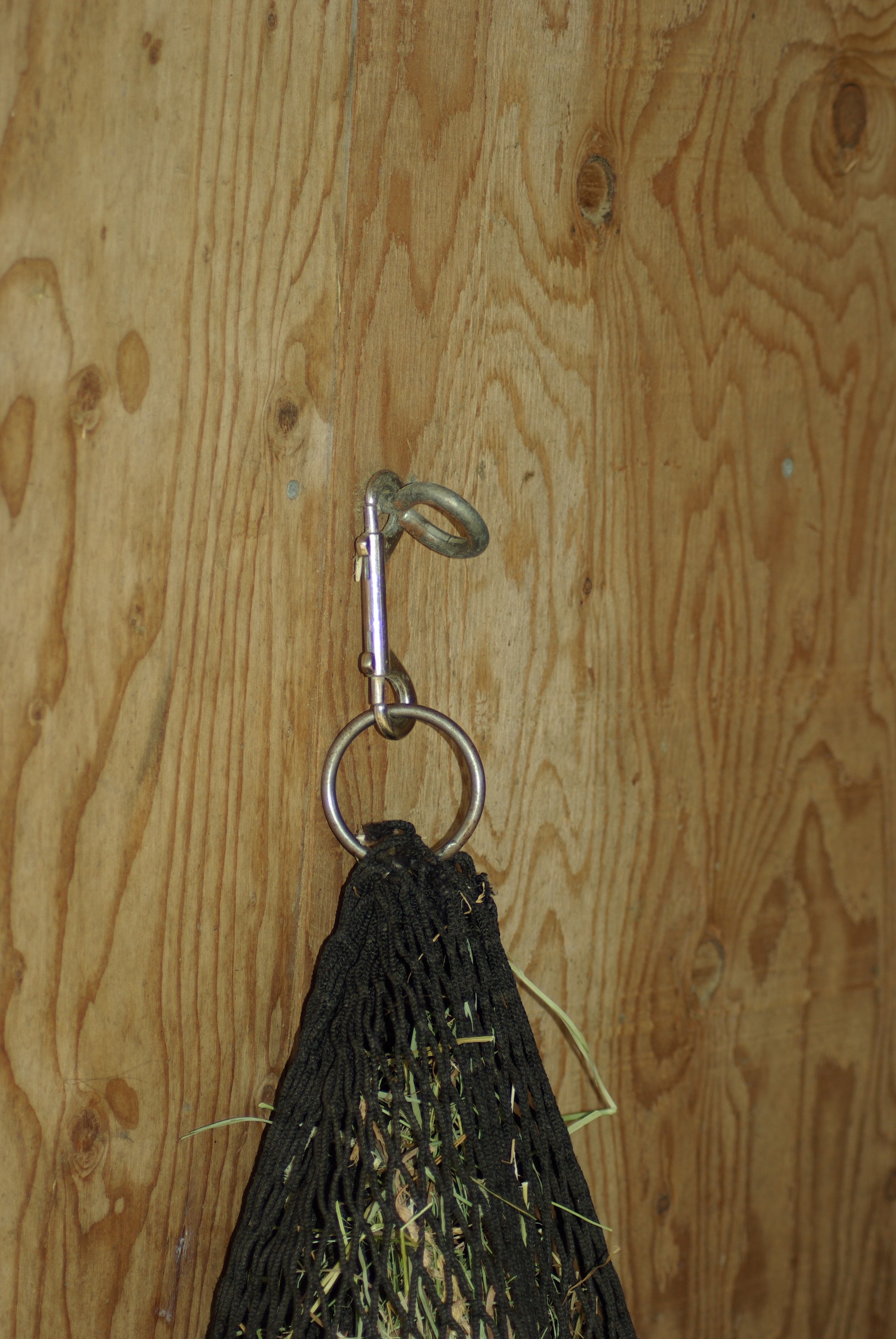 hanging ring.jpg