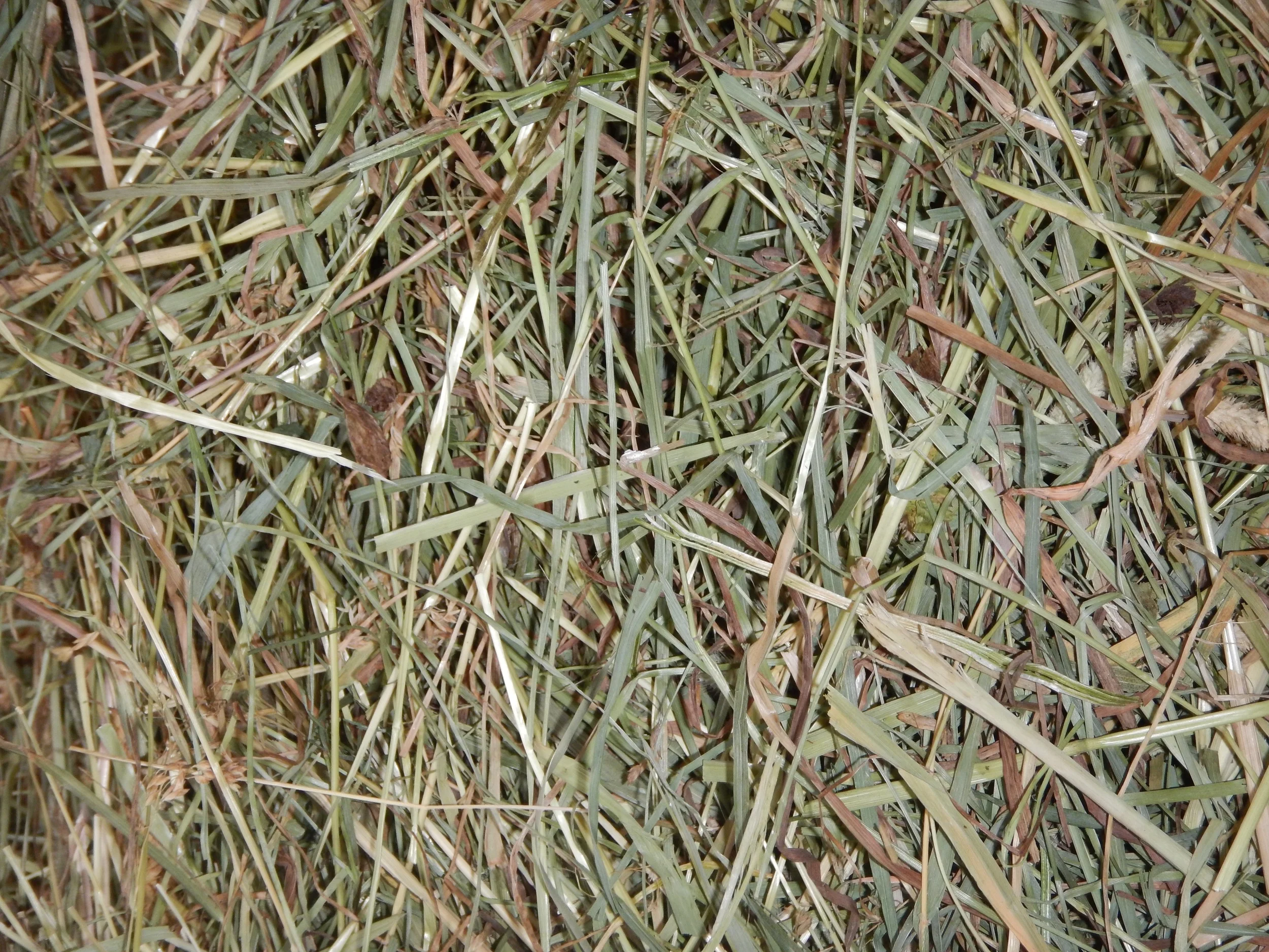 Medium/coarse hay.