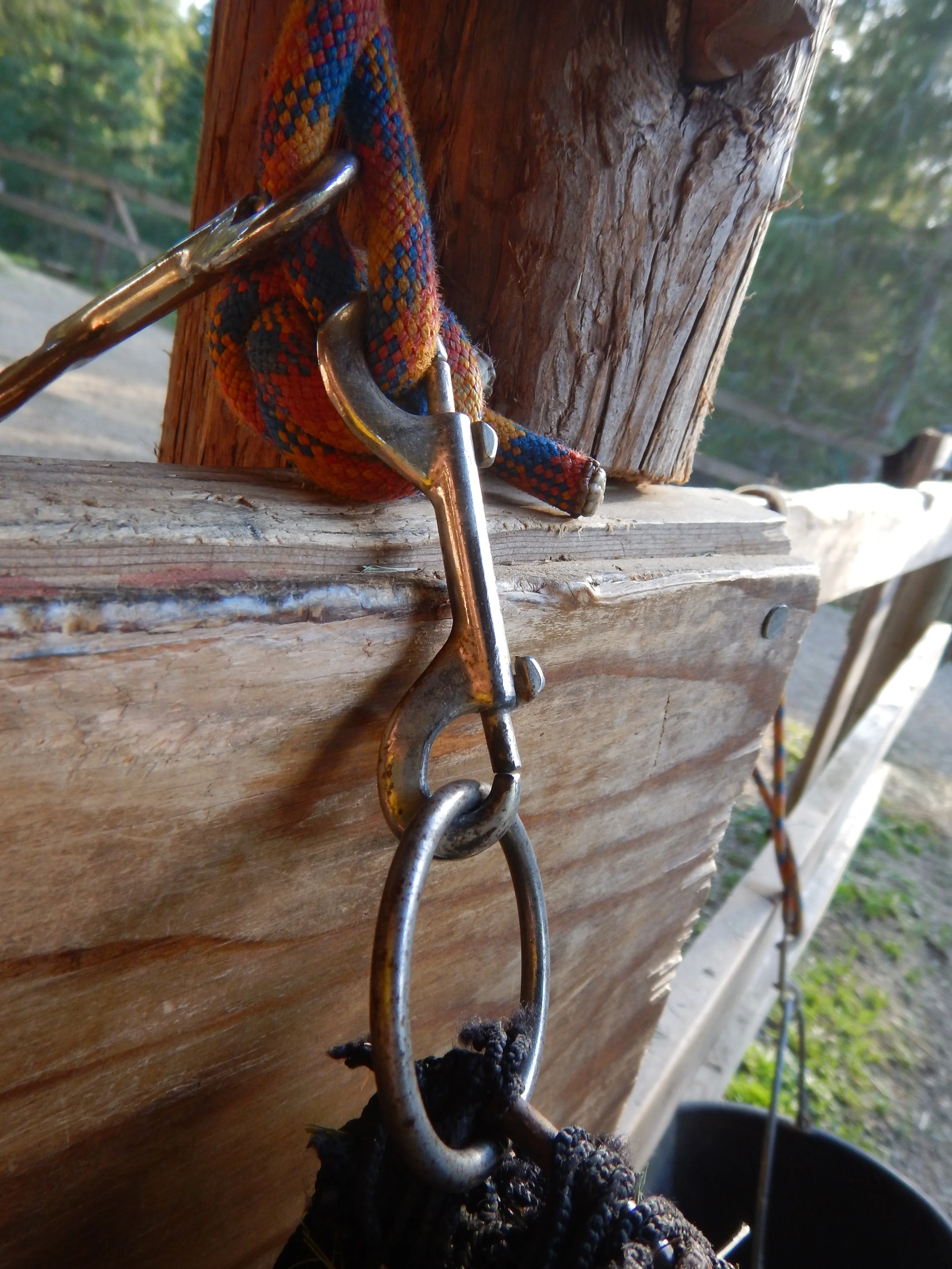 double clip with ring.jpg