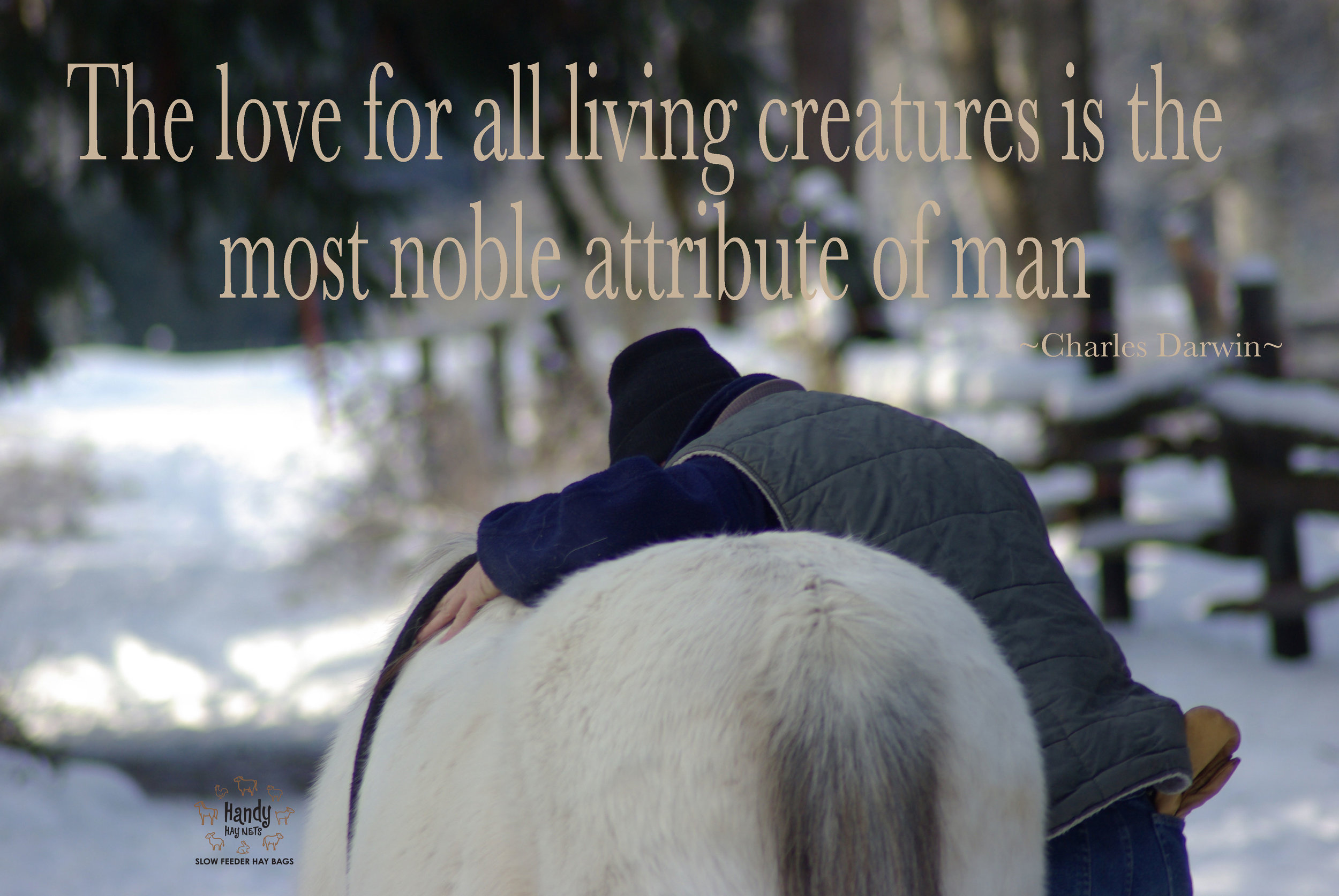 The Love For All Living Creatures Is The Most Noble Attribute Of
