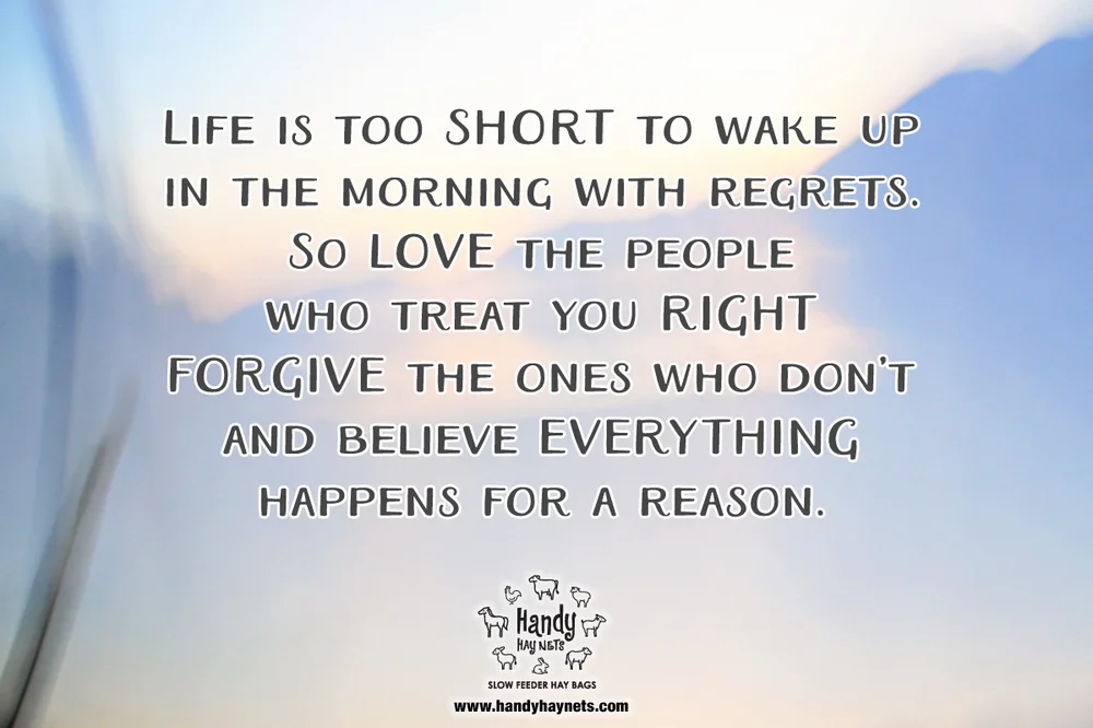 Life Is Too Short To Wake Up In The Morning With Regrets Life Is Too Short To Wake Up In The Morning With Regrets! — Handy Hay Nets