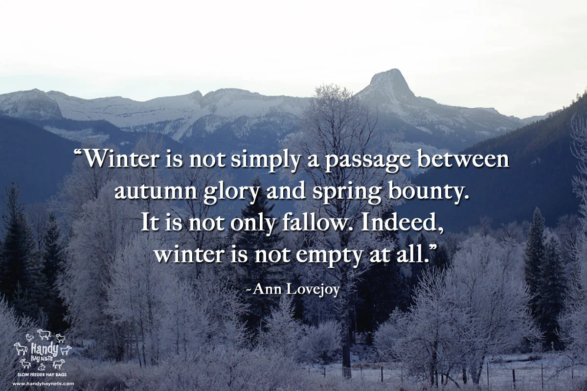 winter-is-not-simply-a-passage.jpg