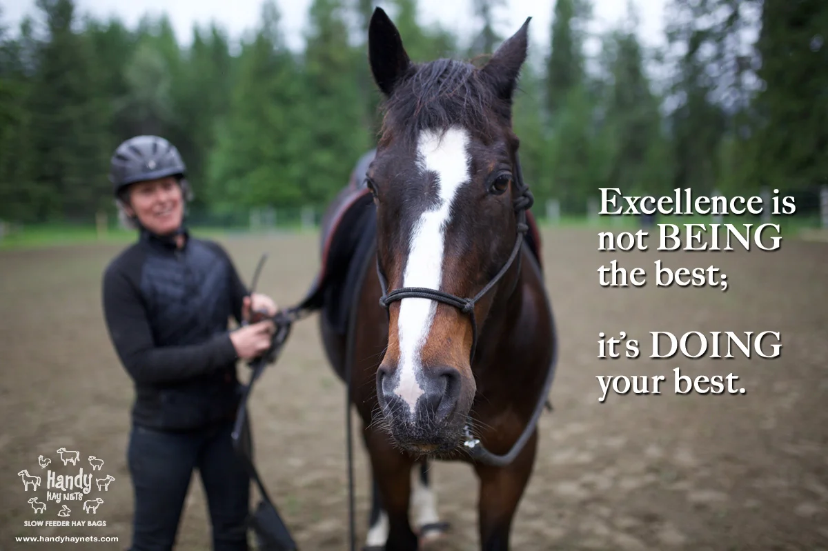 excellence-is-not-being-the-best.jpg