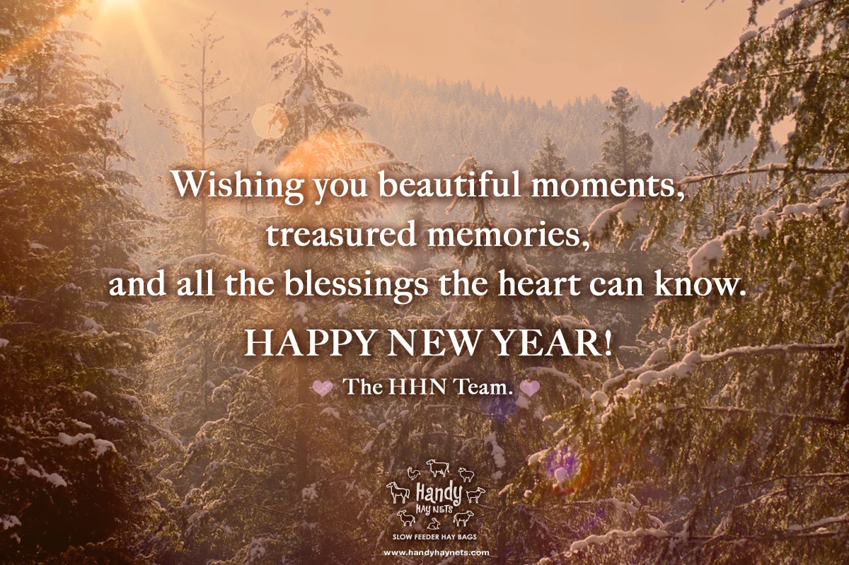 happy-new-yeare-2018.jpg