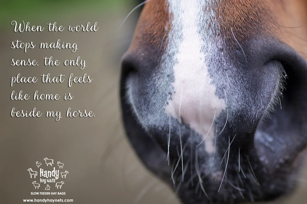 world-stops making-sense-beside-my-horse.jpg