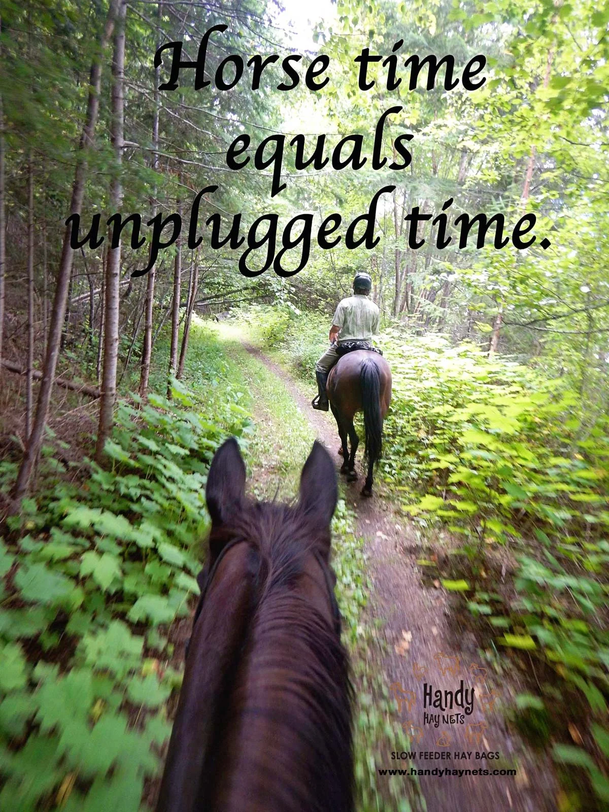 horse-time-equals-unplugged-time.jpg