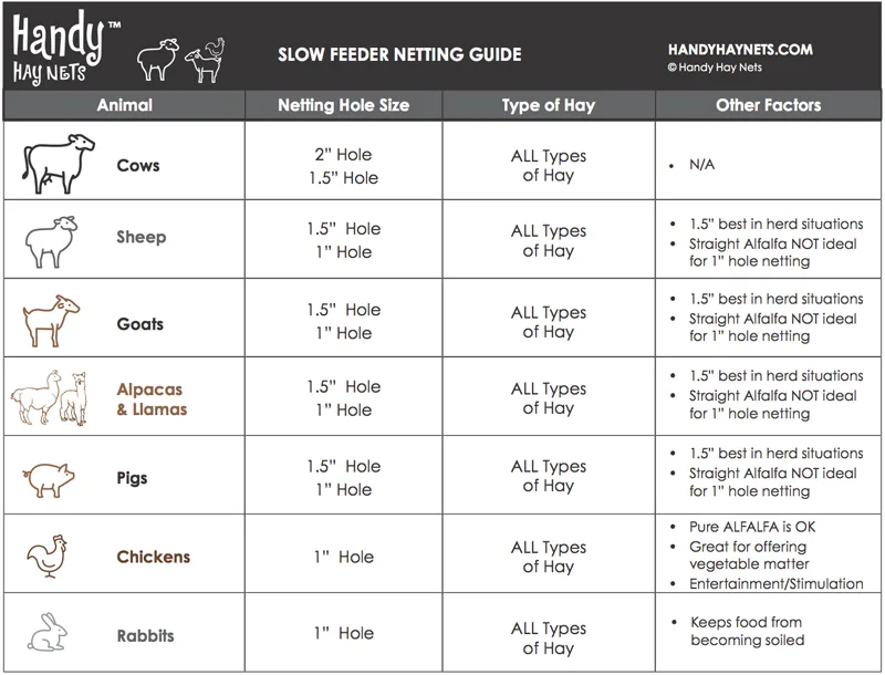 hhn-slow-feeder-netting-guide-for-farm-animals.jpg